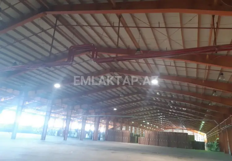 3500 m² Obyekt / Ofis Kirayə (aylıq), Atyalı, Abşeron
