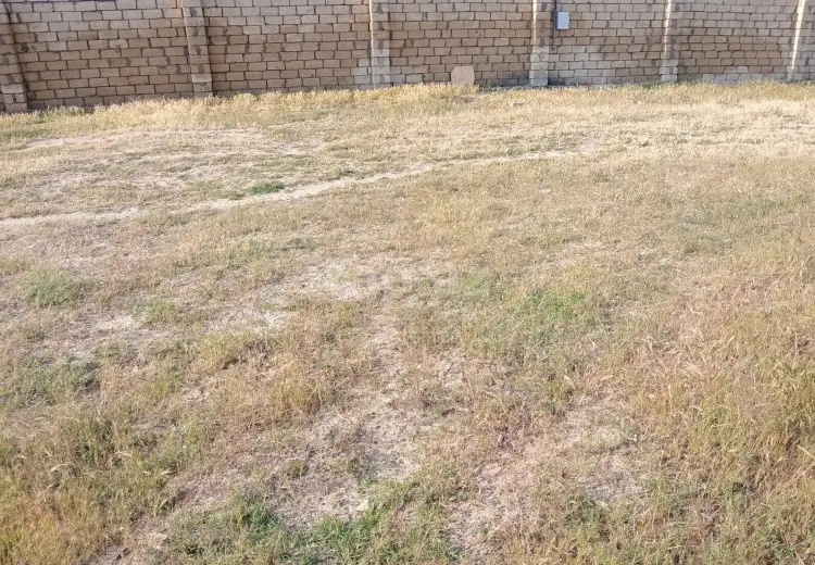 0 m² Obyekt / Ofis , Novxanı, Abşeron