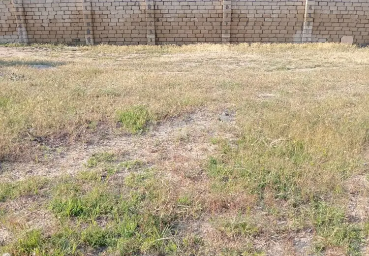 0 m² Obyekt / Ofis , Novxanı, Abşeron