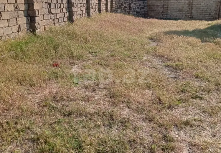 0 m² Obyekt / Ofis , Novxanı, Abşeron