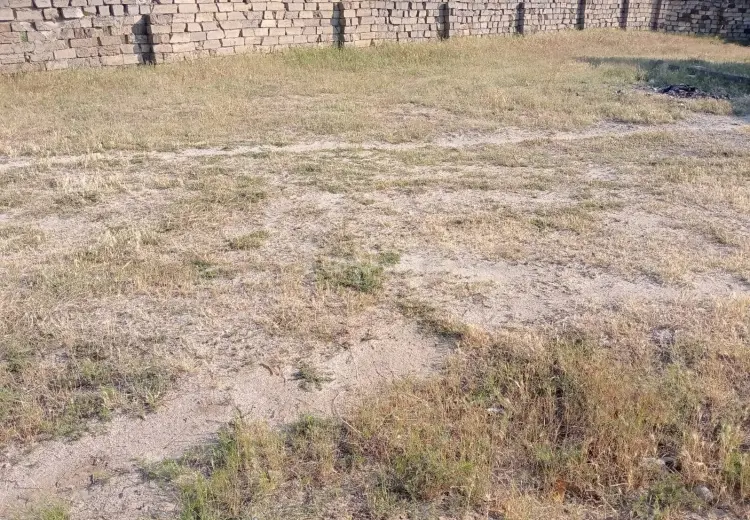 0 m² Obyekt / Ofis , Novxanı, Abşeron