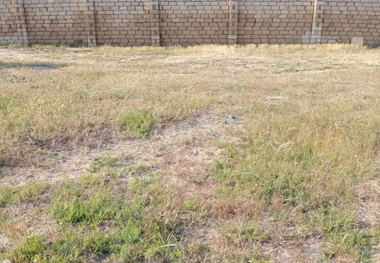0 m² Obyekt / Ofis , Novxanı, Abşeron