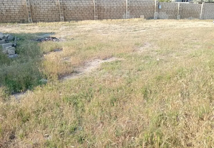 0 m² Obyekt / Ofis , Novxanı, Abşeron
