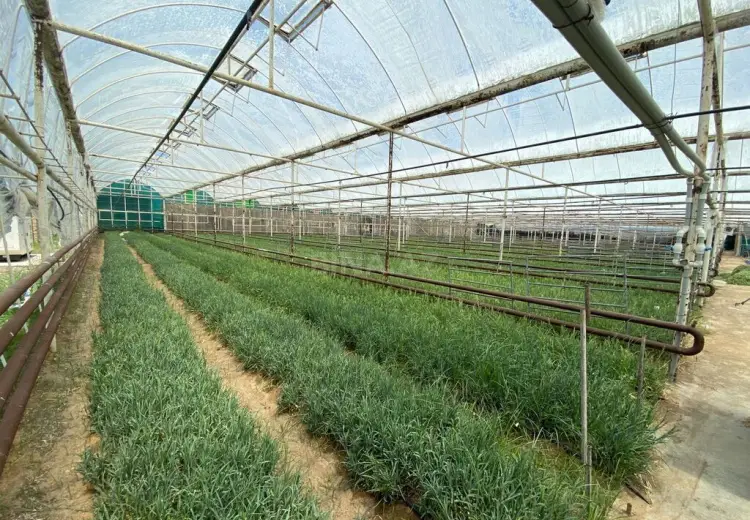 6500 m² Obyekt / Ofis Satılır, Türkan, Xəzər, Bakı