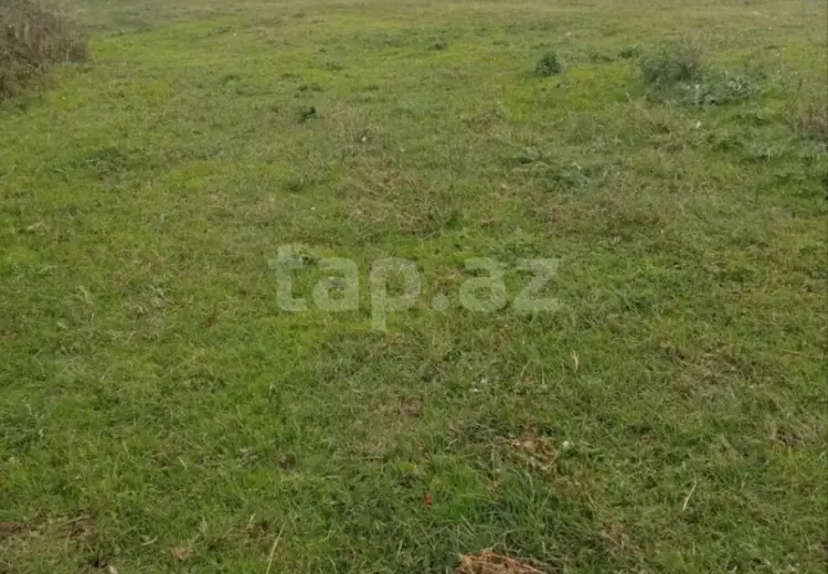 0 m² Obyekt / Ofis , Ağstafa