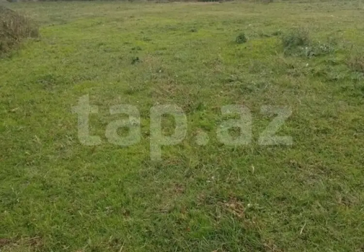 0 m² Obyekt / Ofis , Ağstafa