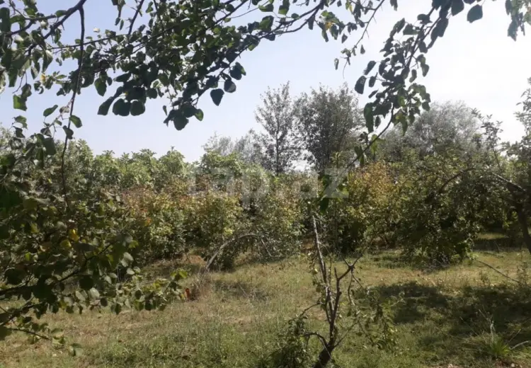 4 otaqlı mənzil , Xudat