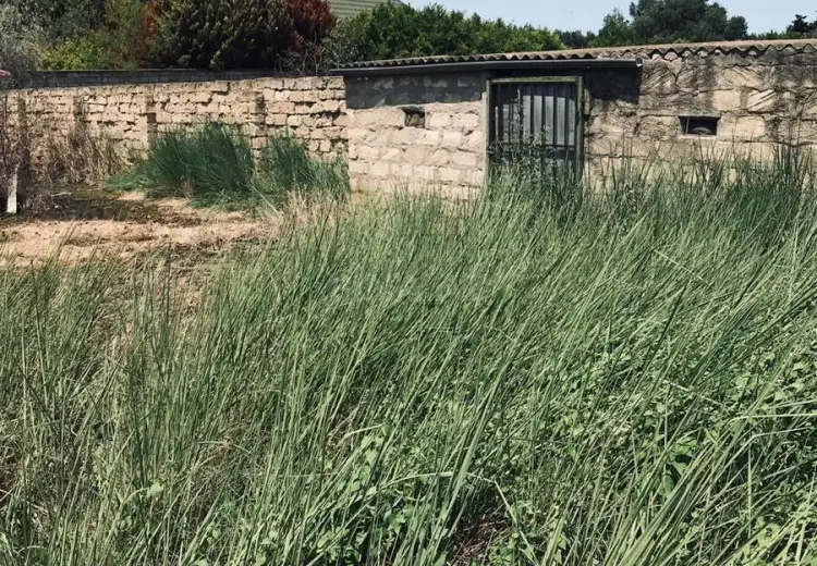 20 sot Torpaq Satılır, Bilgəh qəs., Sabunçu, Bakı