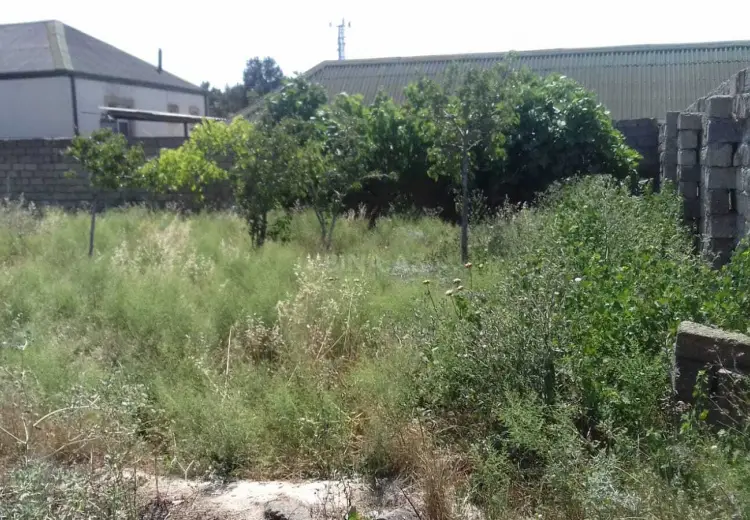 5 sot Torpaq Satılır, Yeni Ramana, Sabunçu, Bakı