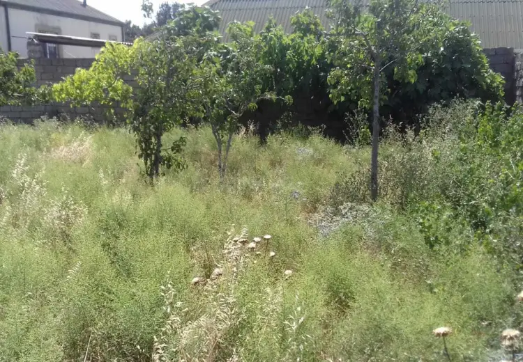5 sot Torpaq Satılır, Yeni Ramana, Sabunçu, Bakı