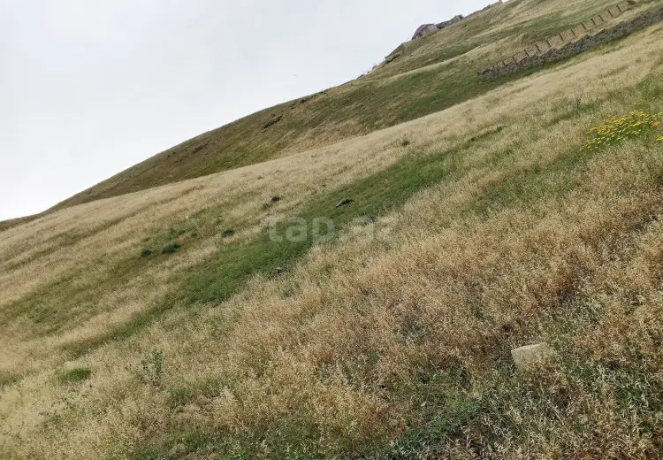 0 m² Obyekt / Ofis , Qobu, Abşeron