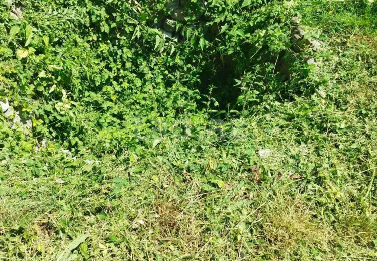 0 m² Obyekt / Ofis , İsmayıllı