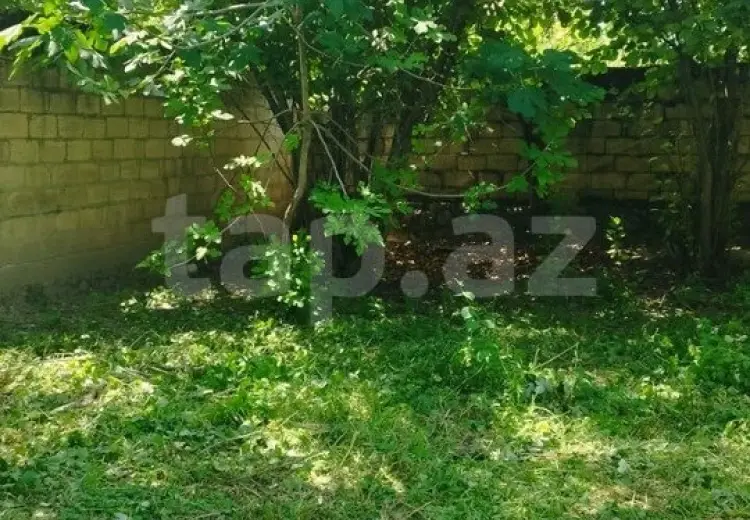 0 m² Obyekt / Ofis , İsmayıllı