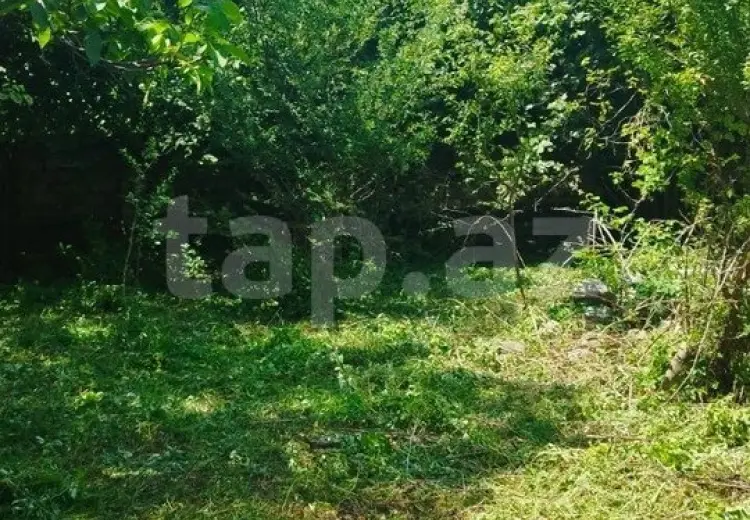 0 m² Obyekt / Ofis , İsmayıllı