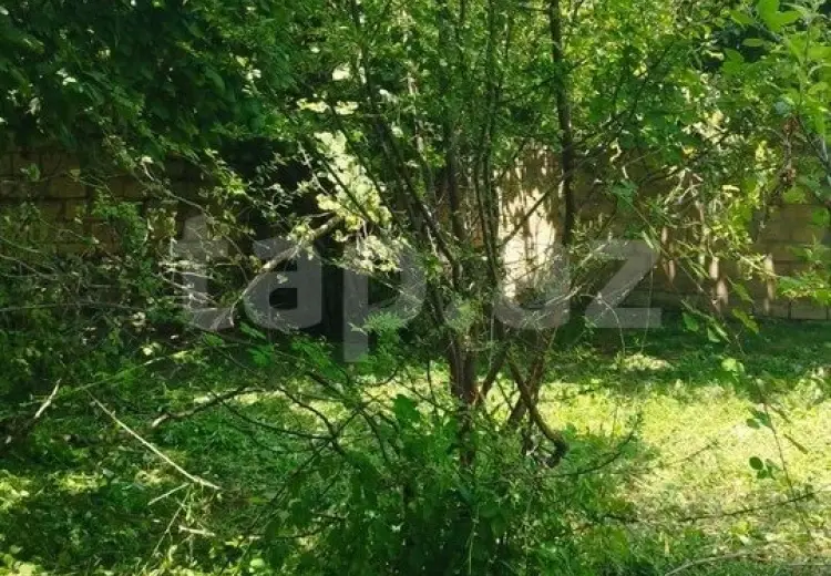 0 m² Obyekt / Ofis , İsmayıllı