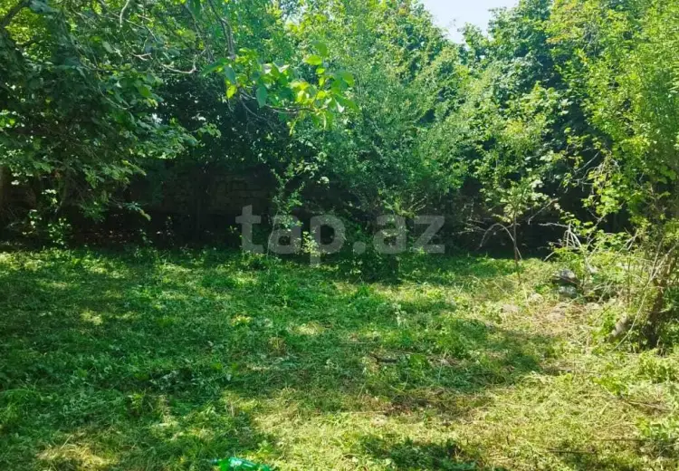 0 m² Obyekt / Ofis , İsmayıllı