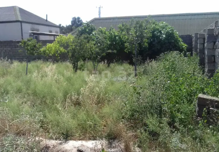 0 m² Obyekt / Ofis , Sabunçu, Bakı