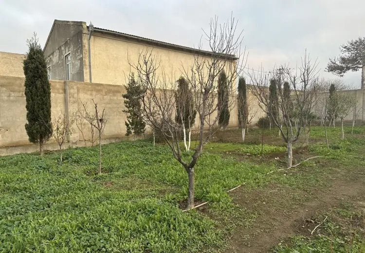 9 sot Torpaq Satılır, Buzovna, Xəzər, Bakı