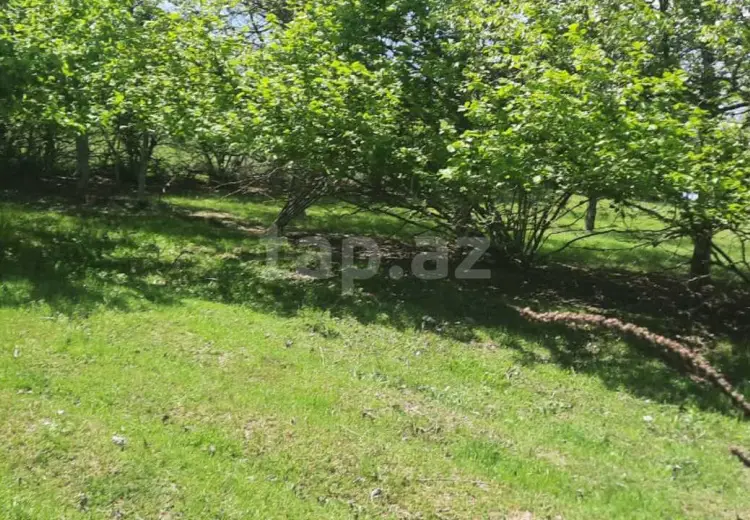 20 sot Torpaq Satılır, Qusar
