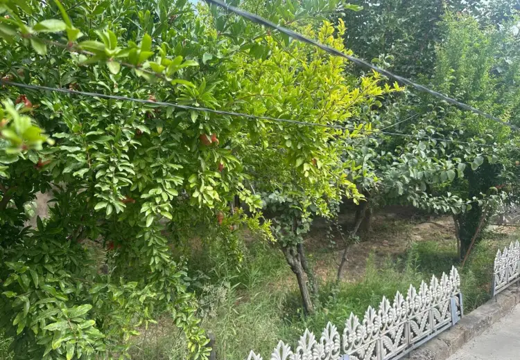 9 sot Torpaq Satılır, Xətai, Bakı