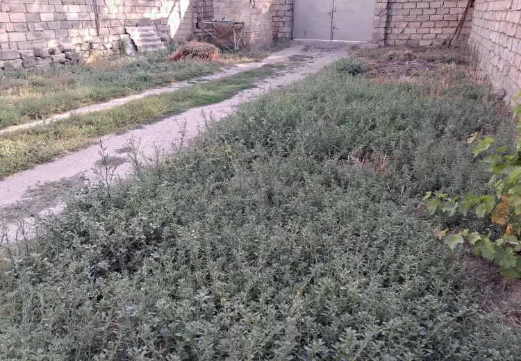 6 sot Torpaq Satılır, Bakıxanov qəs., Sabunçu, Bakı