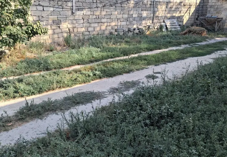 6 sot Torpaq Satılır, Bakıxanov qəs., Sabunçu, Bakı