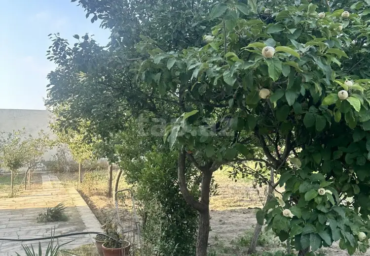 0 m² Obyekt / Ofis , Bakı
