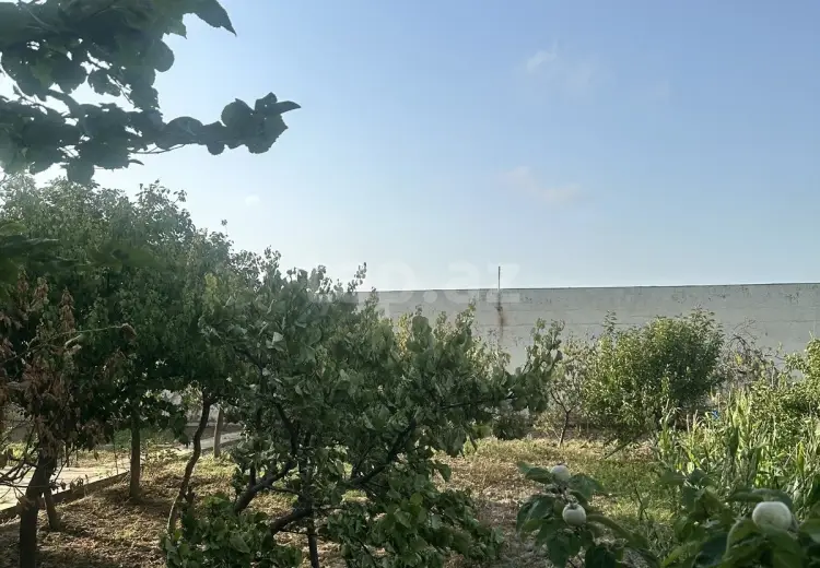 0 m² Obyekt / Ofis , Bakı