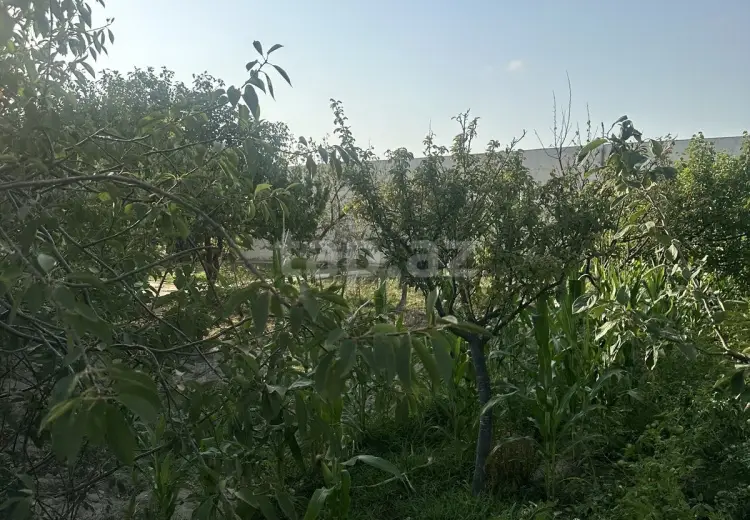 0 m² Obyekt / Ofis , Bakı