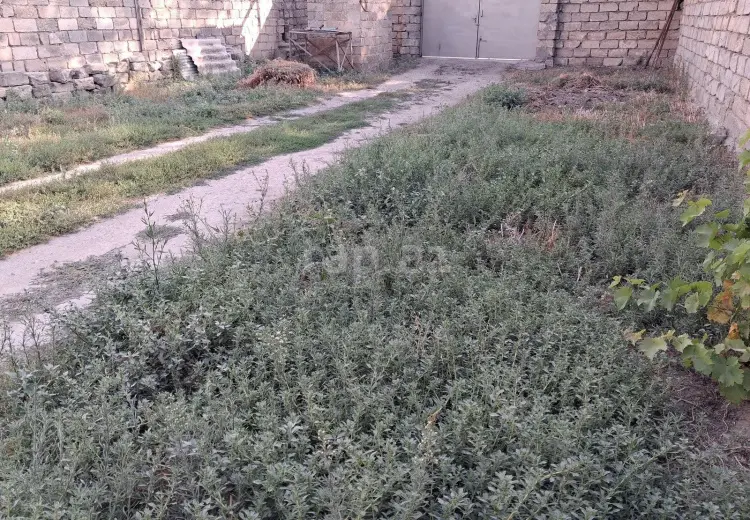 0 m² Obyekt / Ofis , Bakı