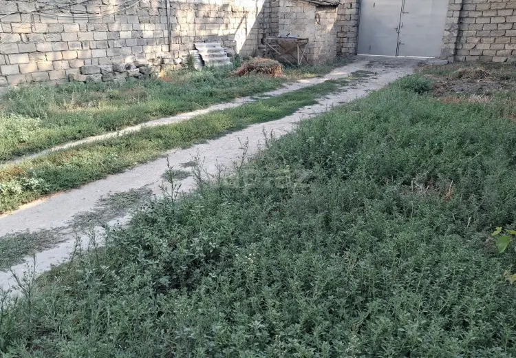 0 m² Obyekt / Ofis , Bakı
