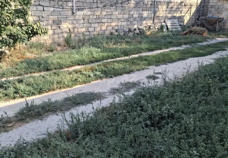 0 m² Obyekt / Ofis , Bakı