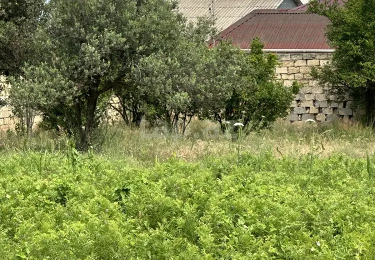 0 m² Obyekt / Ofis , Novxanı, Abşeron