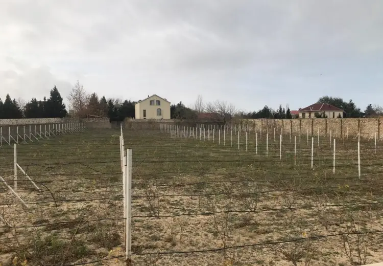 60 sot Torpaq Satılır, Fatmayı, Abşeron