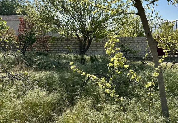 5.5 sot Torpaq Satılır, Goradil, Abşeron