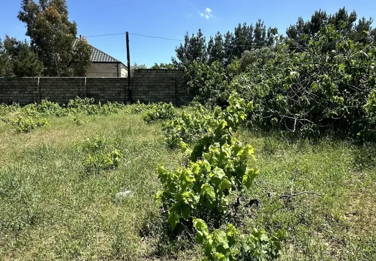 3 sot Torpaq Satılır, Goradil, Abşeron