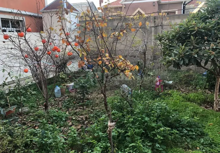 7 otaqlı mənzil , Binə qəs., Xəzər, Bakı