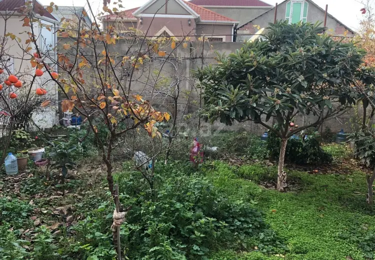 7 otaqlı mənzil , Binə qəs., Xəzər, Bakı