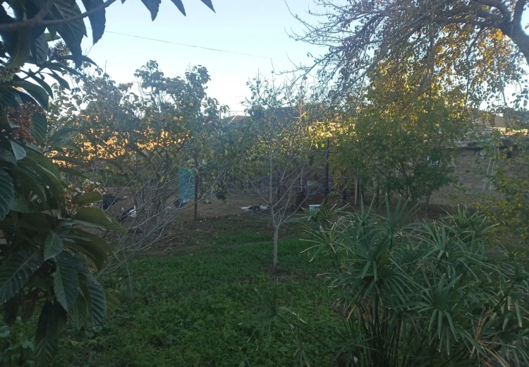 8 sot Torpaq Satılır, Qala, Xəzər, Bakı
