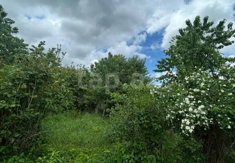 3 otaqlı mənzil , Qusar