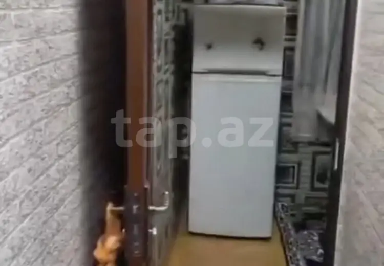 2 otaqlı mənzil , Sumqayıt