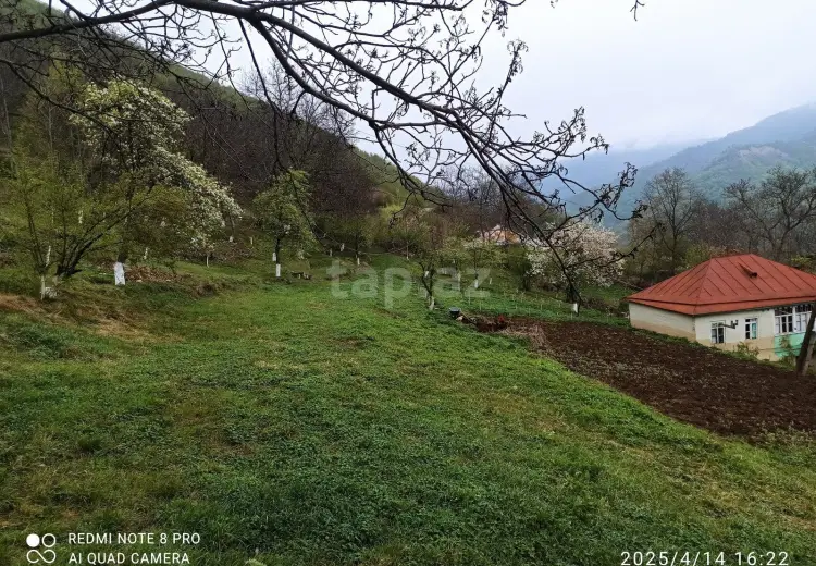 0 m² Obyekt / Ofis , Quba