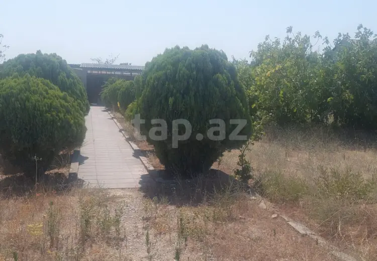 0 m² Obyekt / Ofis , Nardaran qəs., Sabunçu, Bakı