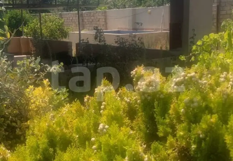 0 m² Obyekt / Ofis , Nardaran qəs., Sabunçu, Bakı