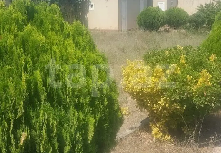 0 m² Obyekt / Ofis , Nardaran qəs., Sabunçu, Bakı
