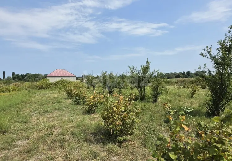 0 m² Obyekt / Ofis , Şabran