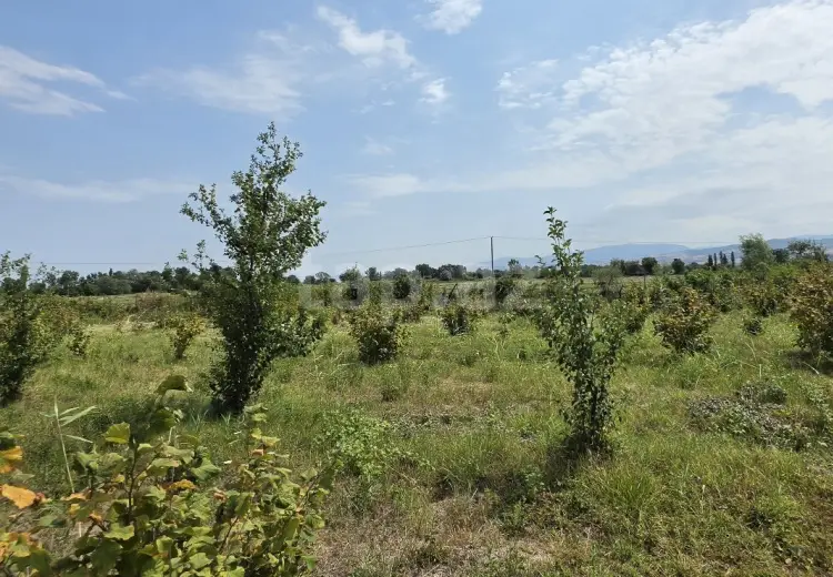 0 m² Obyekt / Ofis , Şabran