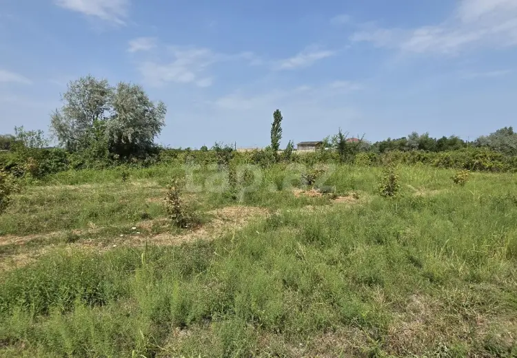 0 m² Obyekt / Ofis , Şabran