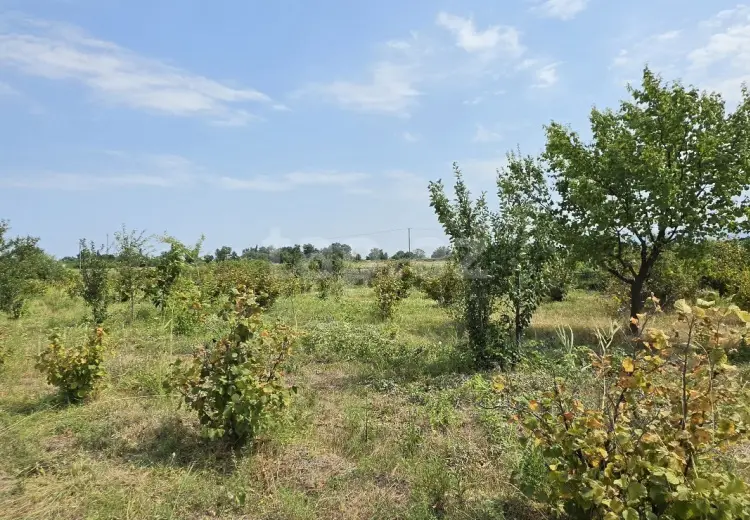 0 m² Obyekt / Ofis , Şabran