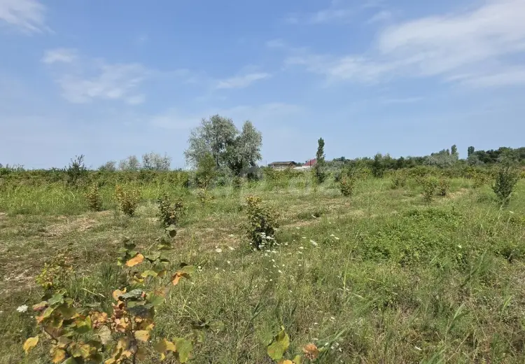 0 m² Obyekt / Ofis , Şabran
